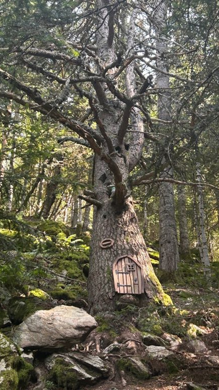 Excursión familiar Bosc dels Menairons en Ordino, Andorra